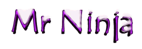 Mr Ninja