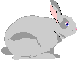 A Rabbit... or is it a Duck?!