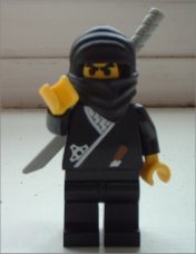 Hello, Mr Ninja!
