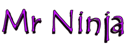Mr Ninja