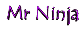 Mr Ninja