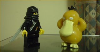 The Ninja Pokemon Showdown!